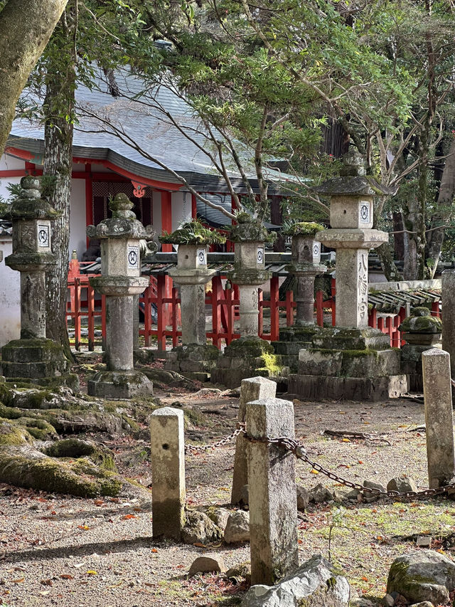 Nara’s Enchanting Shrines & Sacred Deer Encounters