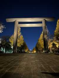 Exploring Tokyo’s busiest, most iconic districts means you’re in for a total sensory overload! 