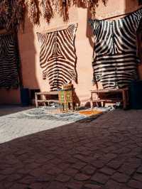 🌍 カイロ旅行完全ガイド 🇪🇬