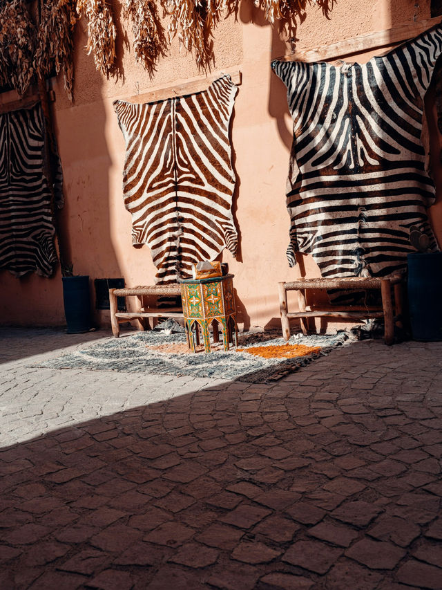 🌍 カイロ旅行完全ガイド 🇪🇬
