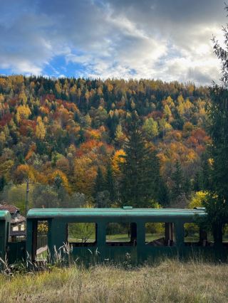 🍁Breathe in the Colors of Autumn ✨