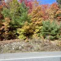 Algonquin Provincial Park