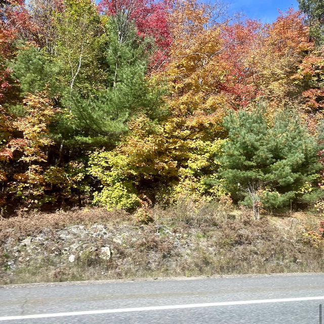 Algonquin Provincial Park