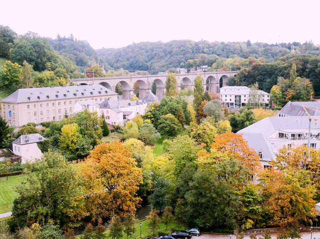 The Grand Secret is Out: Why Everyone is Flocking to Luxembourg 🇱🇺