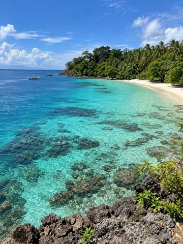 🌊 Đảo Sipadan, Malaysia: Thiên đường của thợ lặn, một thế giới kỳ thú dưới nước

Khi nói đến những điểm đến đẳng cấp thế giới dành cho những người yêu biển và thợ lặn, đảo Sipadan ở Malaysia chắc chắn nằm trong danh sách. 🏝️ Hòn đảo này nổi tiếng với hệ sinh thái dưới nước phong phú, làn nước trong vắt và thế giới dưới nước sống động.

Điểm nổi bật của đảo Sipadan là hoạt động lặn biển để quan sát những đàn cá lớn, rùa biển và nhiều sinh vật biển khác nhau giữa những rạn san hô tuyệt đẹp, giúp nơi đây được công nhận là một trong những điểm lặn nổi tiếng nhất thế giới. 🐢🐠 Đối với những ai say mê thiên nhiên dưới nước, đây là một trải nghiệm khó quên.

Mặc dù đảo Sipadan có những hạn chế về số lượng thợ lặn được phép để duy trì bảo tồn, vẻ đẹp của thế giới dưới nước khiến nơi đây trở thành điểm đến mơ ước của các thợ lặn từ khắp nơi trên thế giới. Đó là một nơi khác phản ánh nhiều kỳ quan mà biển cả vẫn còn ẩn chứa. 💙

📍 Đảo Sipadan, Sabah, Malaysia

#SipadanIsland #Malaysia #Sabah #Diving #UnderwaterWorld #BeautifulSea #CoralReefs #SeaTurtles #TravelReview #InternationalTravel #UnderwaterNature #tripcom #trip