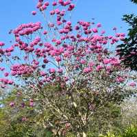 Tropical Botanical Gardens - paradise ！