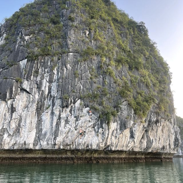 Cat Ba Island’s Treasure 