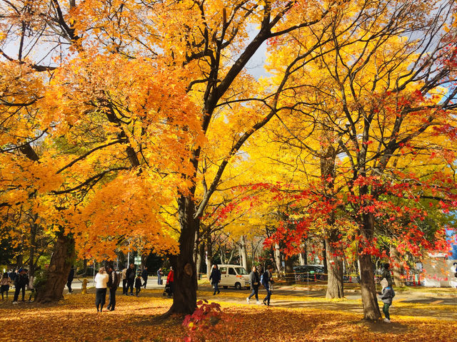 Hokkaido University | Japan's most beautiful university