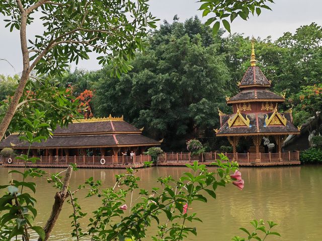 Read a legendary story of the rainforest, the ancient, mysterious and passionate Xishuangbanna.