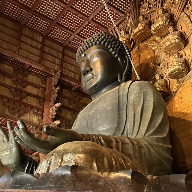 The worlds biggest Bronze Buddha statue