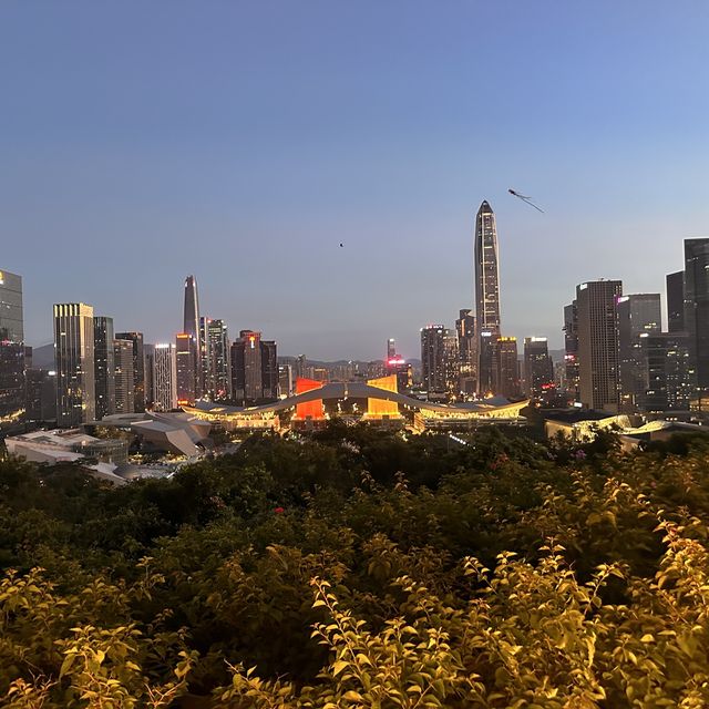 Stunning nighttime views of Shenzhen