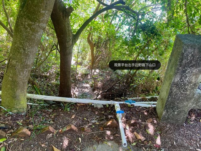 深圳版“聖象天門”海邊洞穴，東涌穿鼻岩攻略