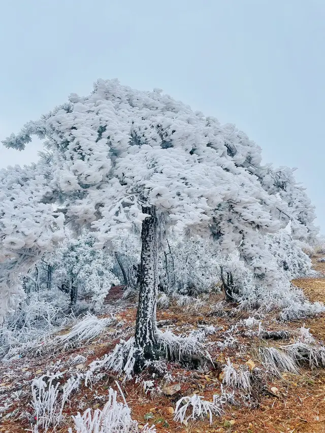 The winter sunrise at Prince's Peak in Lin'an is breathtakingly beautiful