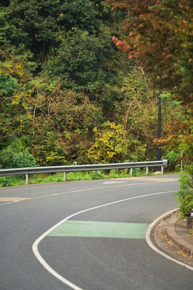你會騎車嗎？安吉絕美的騎行路線
