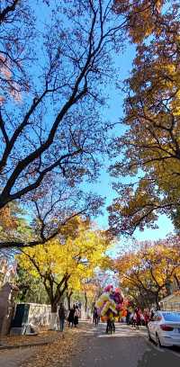 青島八大關異國建築群在色彩斑斕的閃爍下更加奪目迷人