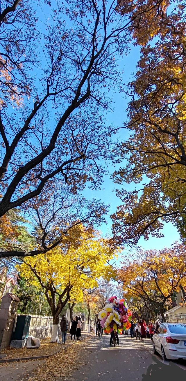 青島八大關異國建築群在色彩斑斕的閃爍下更加奪目迷人 青島八大關異國建築群在色彩斑斕的閃爍下更加奪目迷人