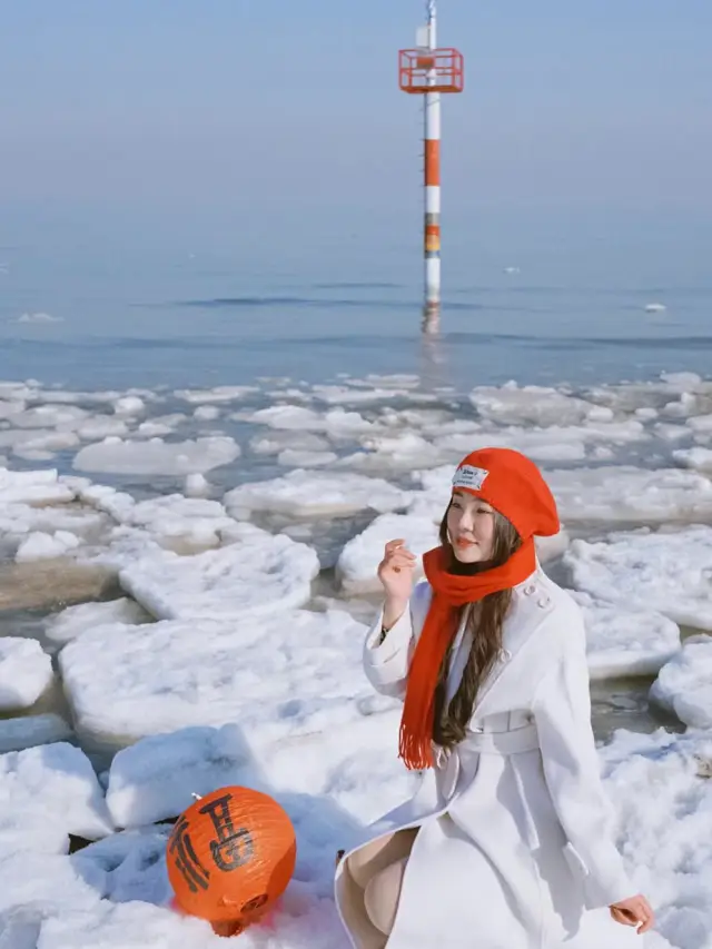約束してください！冬は必ず秦皇島に来て凍った海を見てください