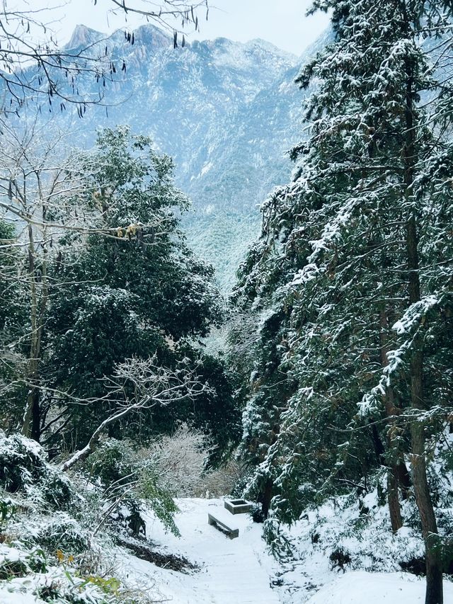 九華山下雪了