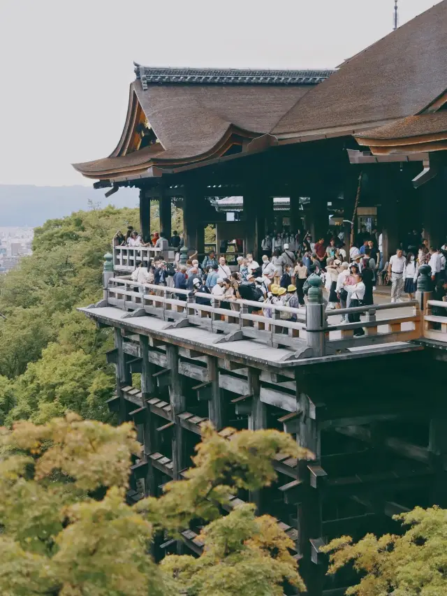 🌸京都必打卡嘅六大景點