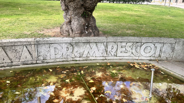 馬雷斯考特醫生Monumento ao Doutor Mar