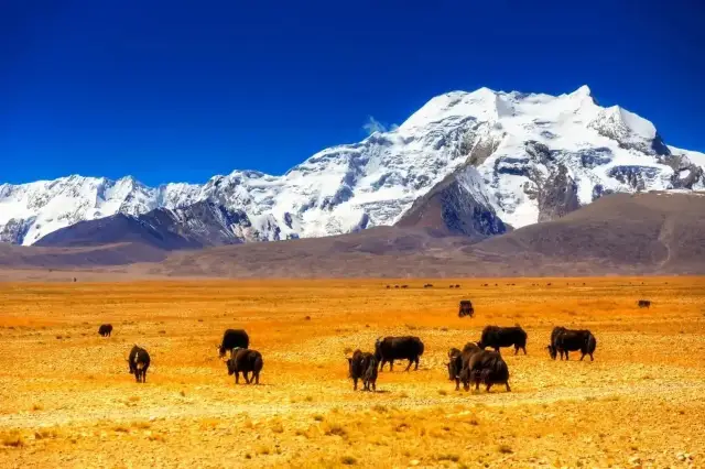 The secret land of Western Tibet, Ali in the sky, Ali 2