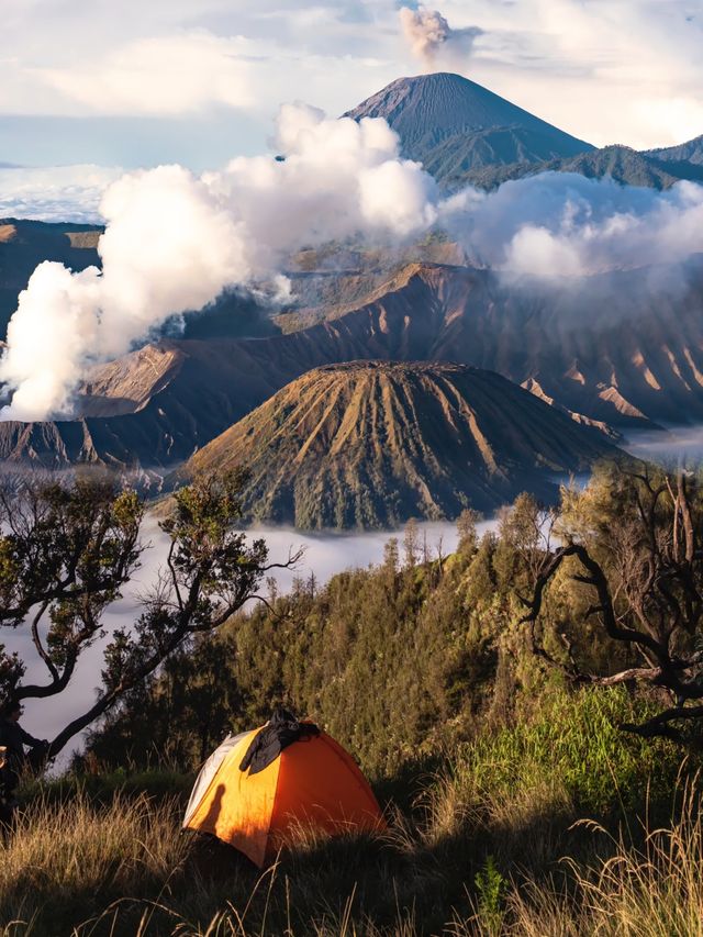 去Bromo火山，聽地球的心跳