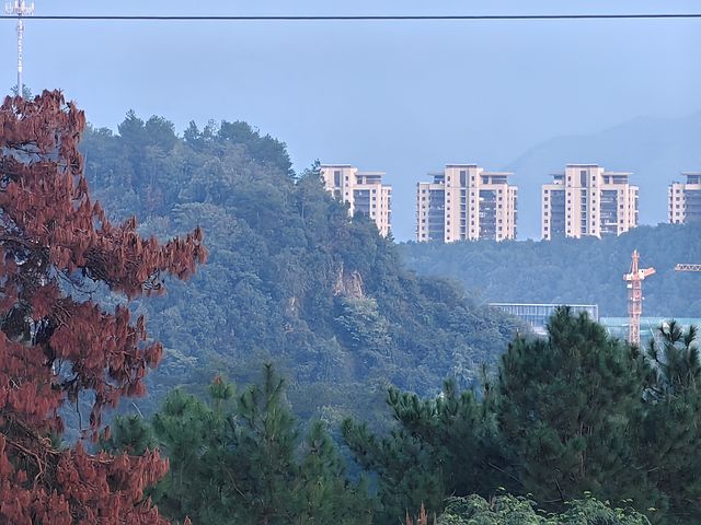 偶遇田園風，做山觀月明，漫山紅裡藏著悅意的風景