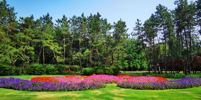 “滬東小西湖”——楊浦公園