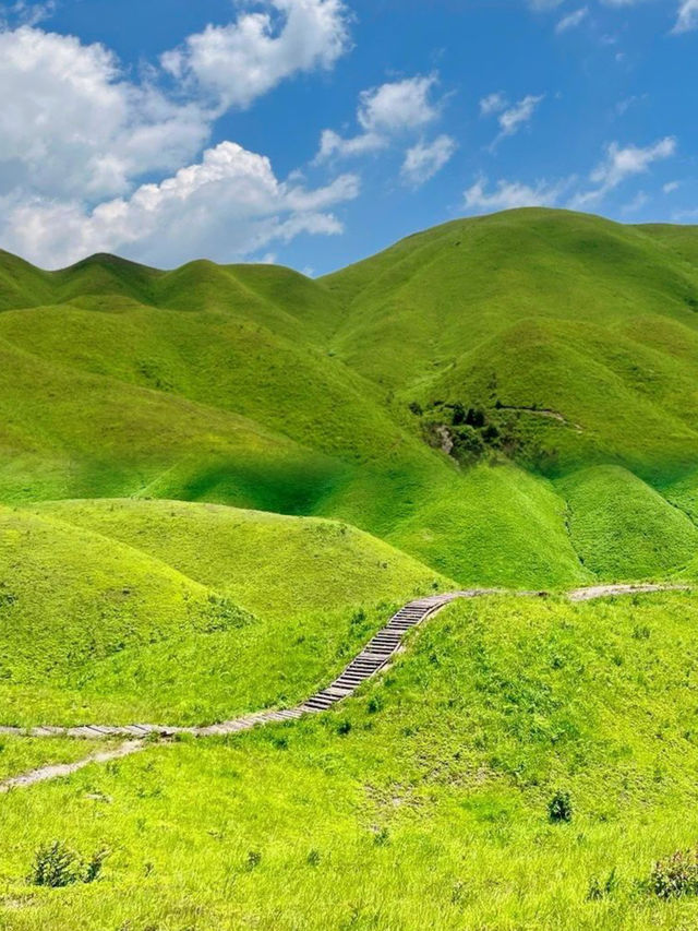 福建版武功山！很少人知道的天然草場