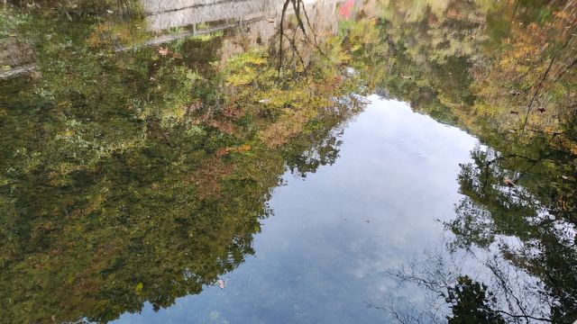 十一遊本溪-第一站關門山國家森林公園