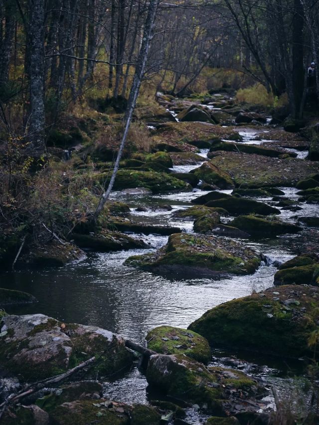 在湯旺賞小興安嶺迷人秋景