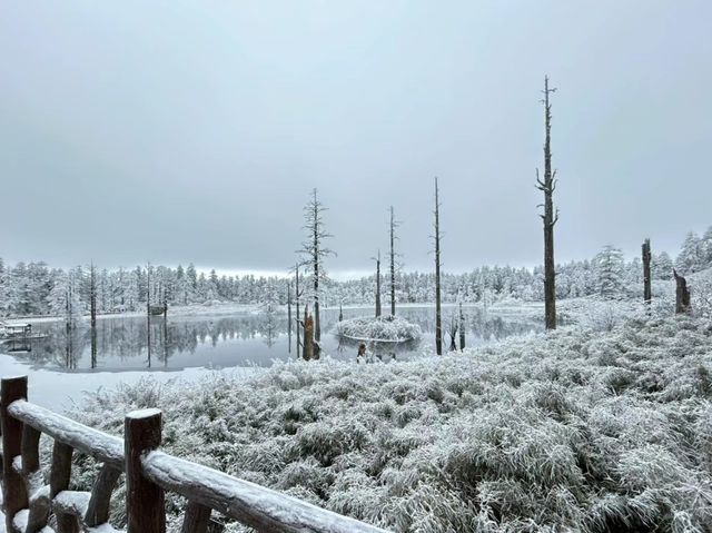 沒下雪之前，都是無趣的冬