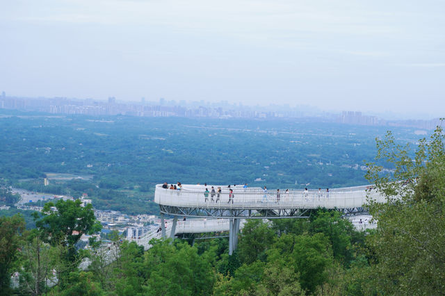 成都的森林高空棧道免費開放啦，帶上喜歡的人一起去雲中漫步吧