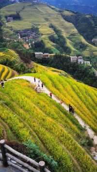 龍脊梯田|一同住進油畫裡