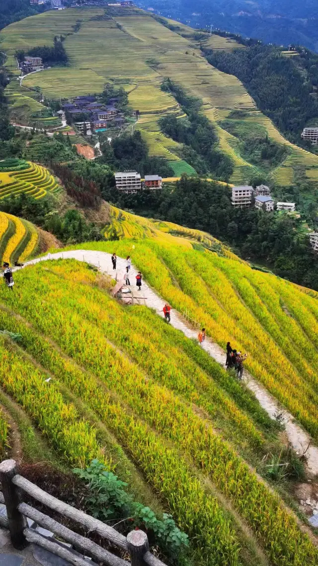 Longji Terraces|Living in a painting together