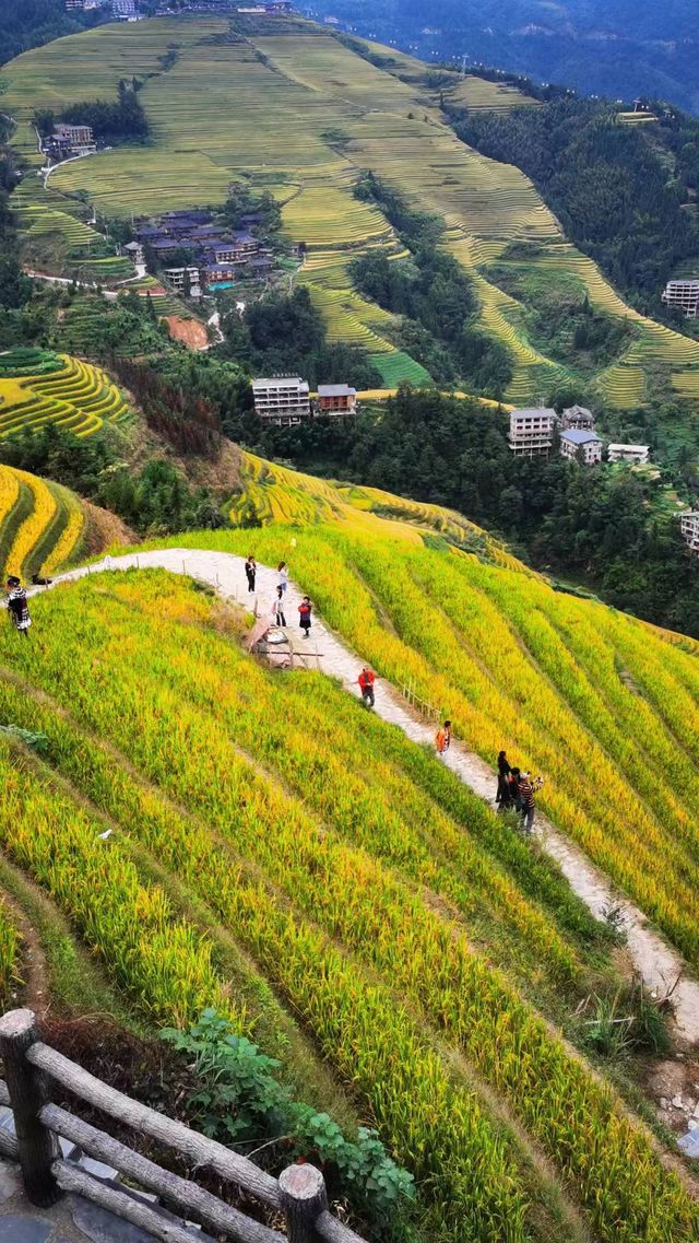龍脊梯田|一同住進油畫裡