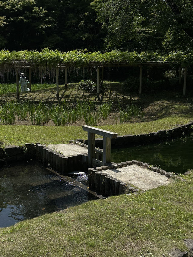 藏在東京市中心的秘境遊園地 | 小石川後樂園