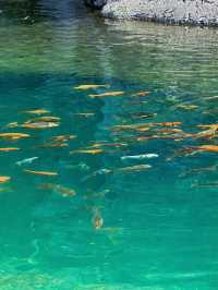 浙江仙居淡竹休閒谷嬉戲玩水的好去處