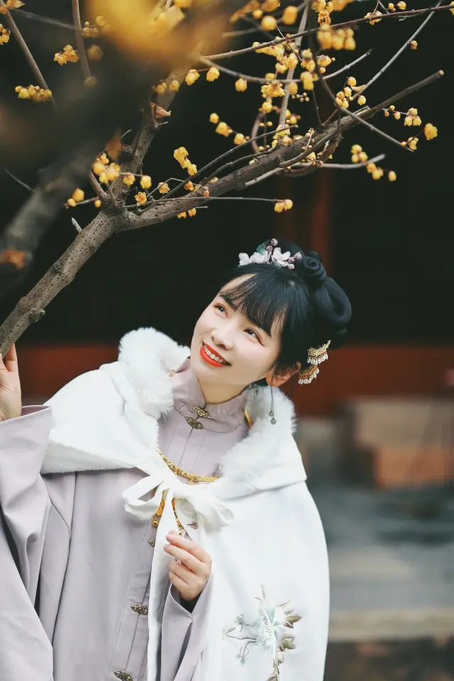 Around Chengdu| Yanhuachi It's a good season to visit the garden and admire the plum blossoms, the super loved Sichuan-style garden in western Sichuan is open