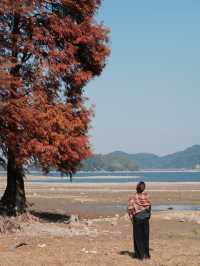 寧波餘姚｜這個暖冬來四明湖畔當一日山民