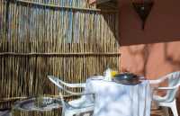 探秘納米比亞 | Halali營地酒店的絕妙體驗