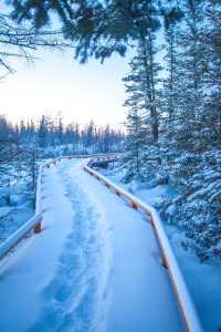 「冰雪奇緣」的現實地：小眾的小興安嶺