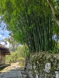 荊南雄鎮，唐崖覃氏土司遺址