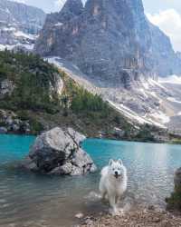 🐐😜 Get ready for some mountain adventure with this little goat! Happy Friyay! 🏞️🇩🇪