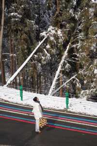 冬日的快樂怎麼能少得了看雪