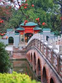 佛山｜中山公園｜嚴重被低估的小眾寶藏公園