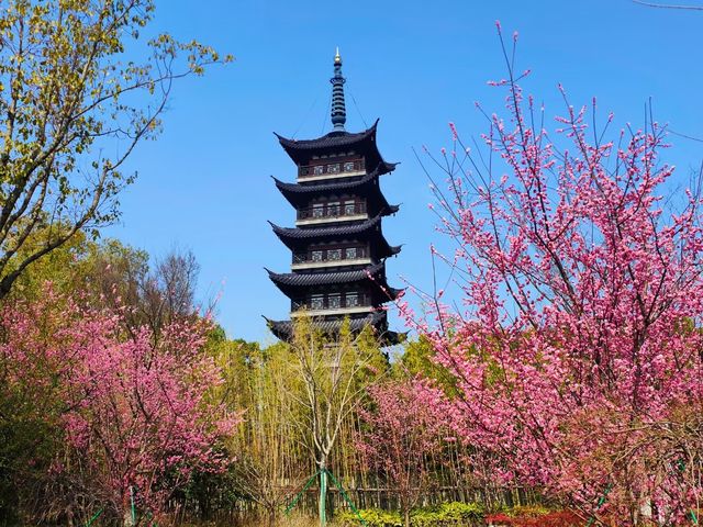 春暖花開好時節，尋找記憶中的古鎮