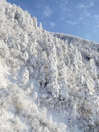 西嶺雪山終於下雪啦！！雪季如期而至！