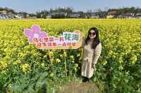 長沙望城自駕遊，這個百年歷史的惜字塔等你來看