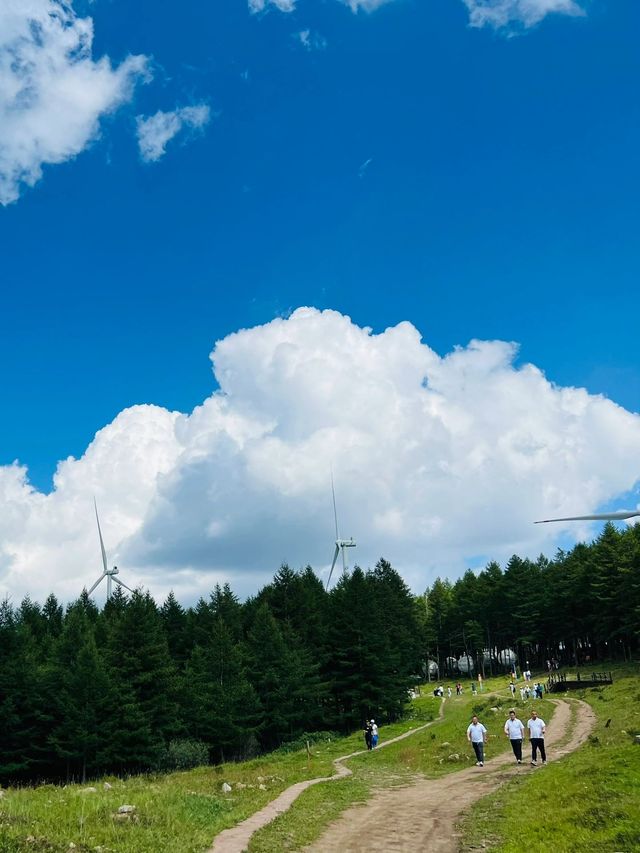 翠雲山度假區丨遊玩打卡景點攻略